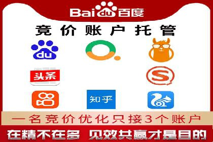 百度竞价广告运营全解析：成功案例揭秘